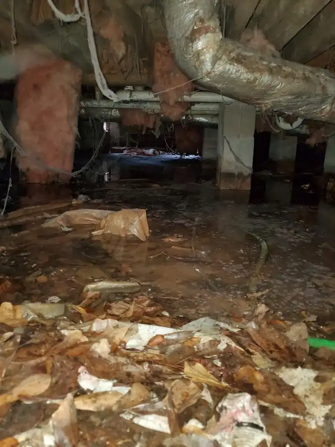 Crawl space flood assessment for Commercial Water Damage Restoration in Smyrna